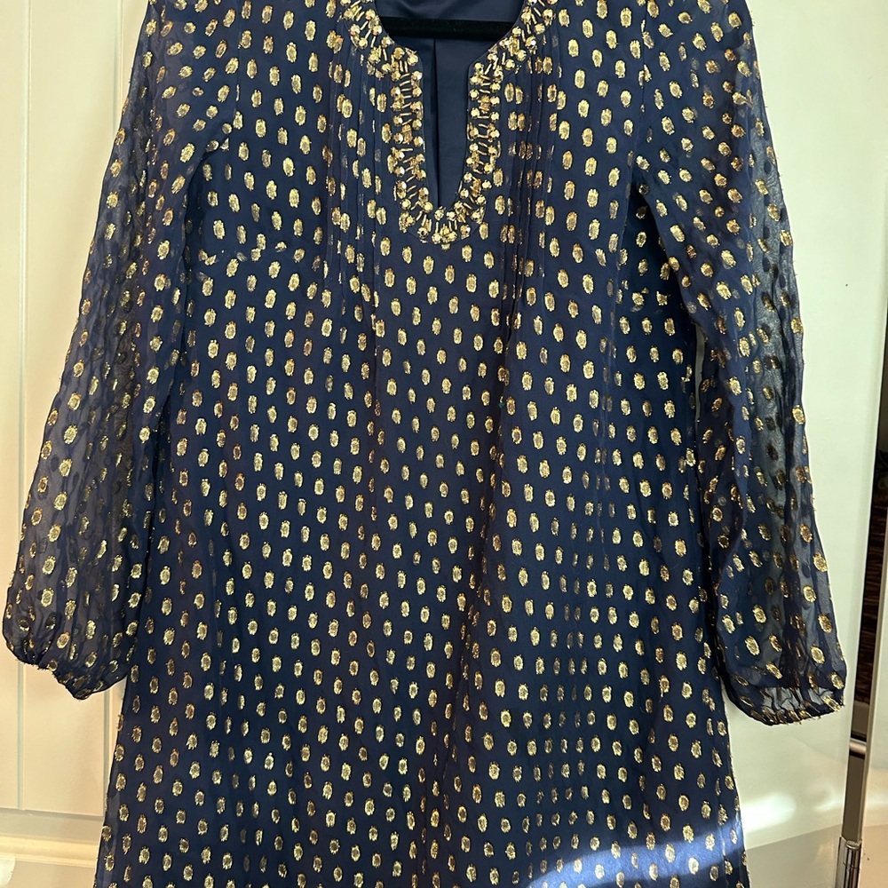 Anthropologie Navy and Gold Dress